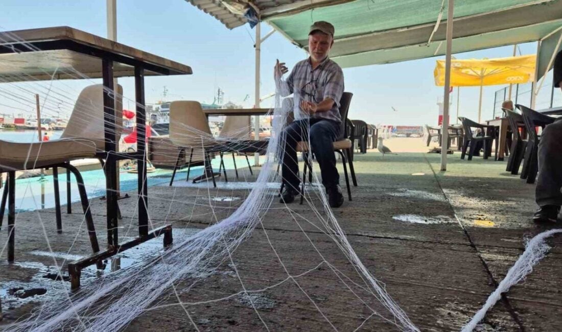 Süleymanpaşa'da müsilaj sorunu sona ererken, balıkçılar bu kez yunus balıklarıyla