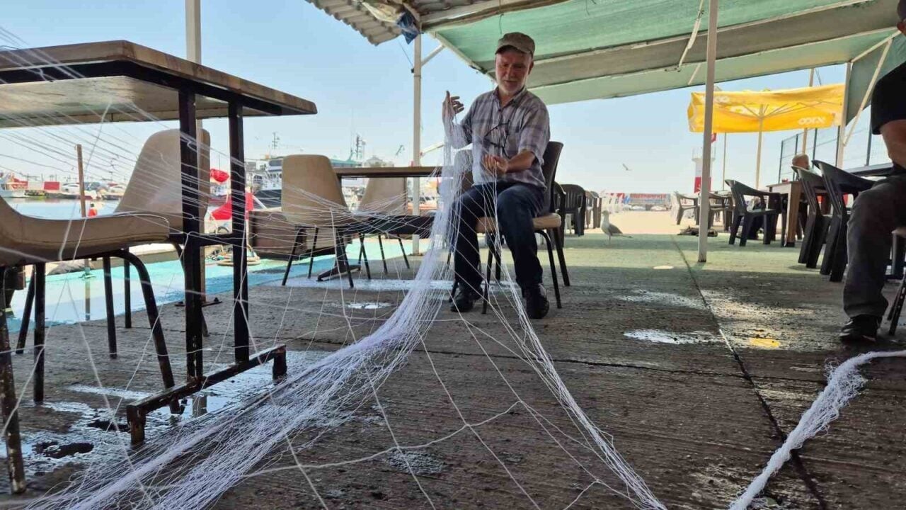 Süleymanpaşa'da müsilaj sorunu sona ererken, balıkçılar bu kez yunus balıklarıyla