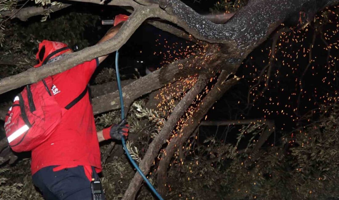 Nazilli Belediyesi Afet ve Acil Durum Ekibi (NAFAD), bölgedeki yangın