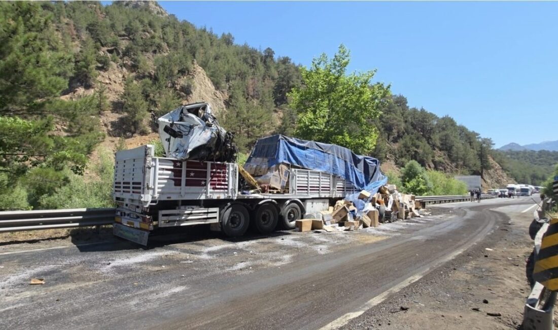 Niğde-Pozantı Karayolu'nda sabah saatlerinde meydana gelen trafik kazasında A.Ö. hayatını