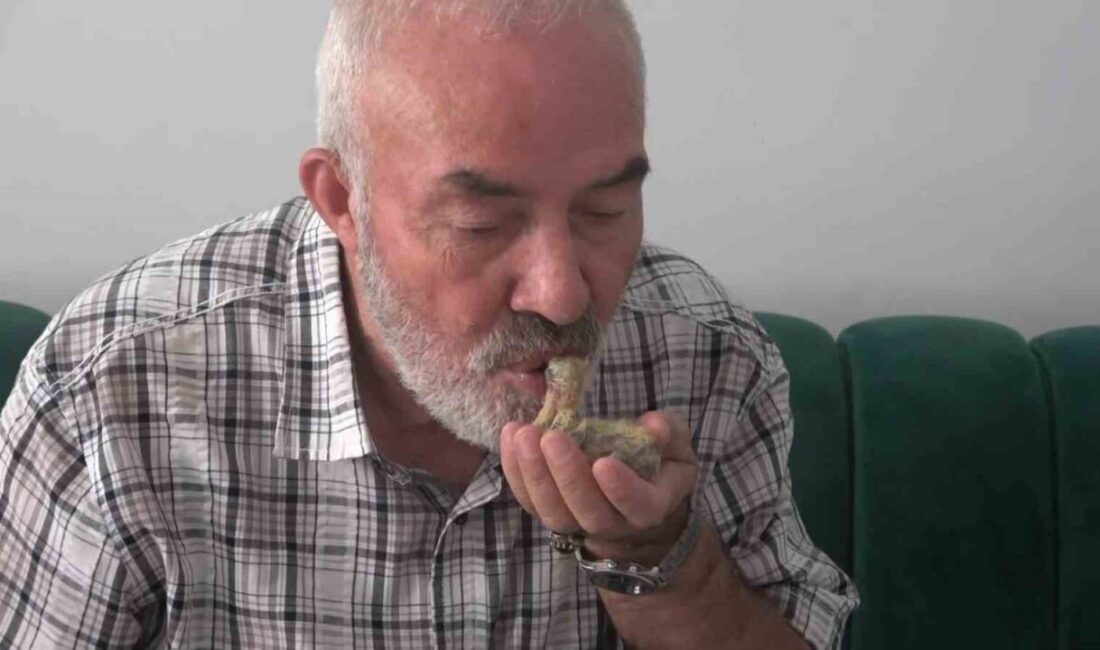 Yusuf Ovalı, Yozgat'tan Bursa'daki oğlunun evine misafir geldiğinde karşılaştığı yavru