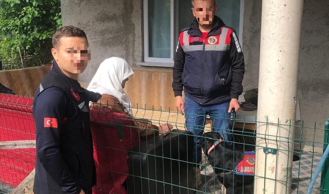 Ordu'nun Kumru ilçesinde N.Y. (51) isimli kadın, kaybolmasının ardından jandarma