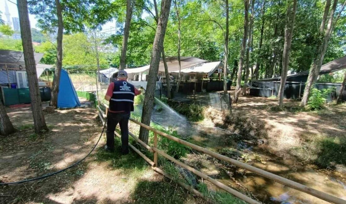 Ordu Büyükşehir Belediyesi, yaz aylarında sineklerle mücadele için ilaçlama çalışmalarını