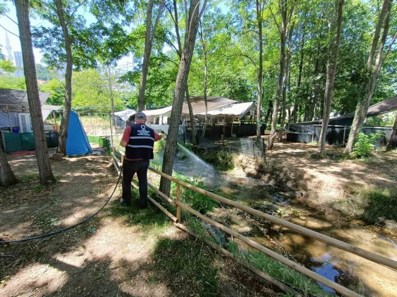 Ordu Büyükşehir Belediyesi, yaz aylarında sineklerle mücadele için ilaçlama çalışmalarını