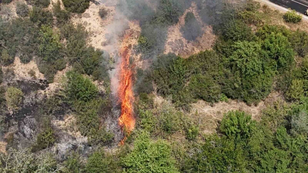 Orman Genel Müdürlüğü, 19-25 Temmuz tarihleri arasında beklenen sıcak hava