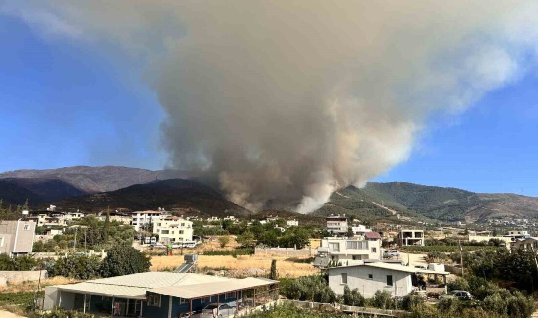Hatay'da Karaali Mahallesi'nde çıkan orman yangını, 22. saatinde rüzgarın etkisiyle