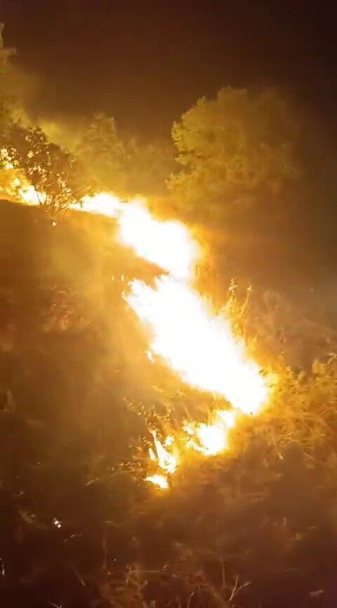 Adıyaman'da Albet Köyü yakınlarındaki ormanlık alanda çıkan yangın, itfaiye ekiplerinin