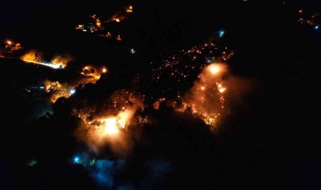 Sakarya'nın Akyazı ilçesinde, Boztepe Mahallesi'nde çıkan orman yangını, itfaiye ve