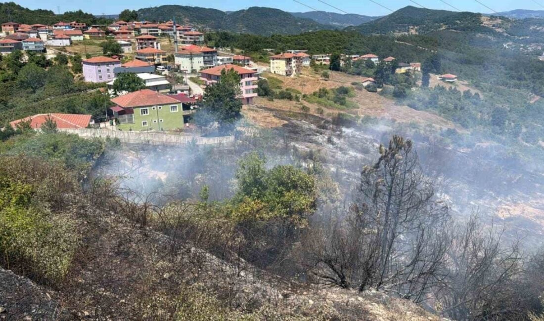 Zonguldak'ın Kdz Ereğli Organize Sanayi Bölgesi’nde, bilinmeyen bir sebeple çıkan