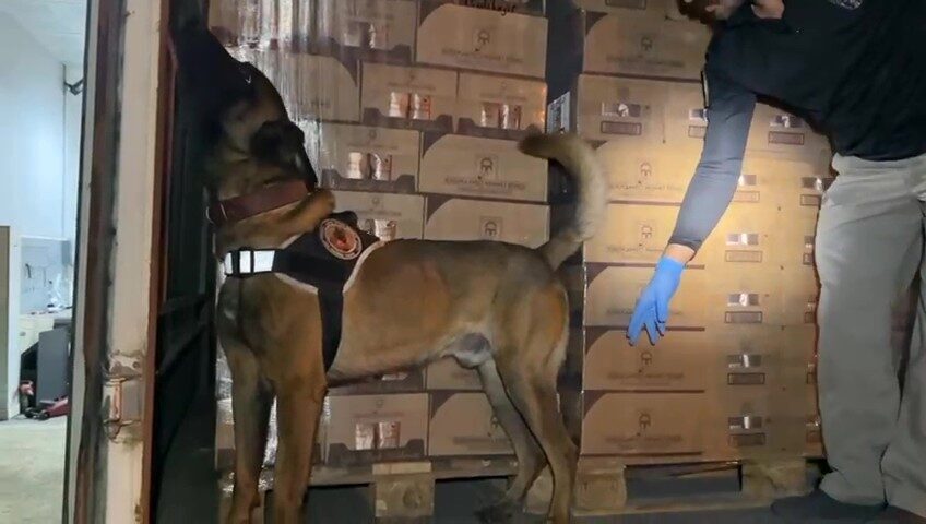 Kocaeli TEM Otoyolu'nda durdurulan araçta, narkotik köpeğiyle yapılan aramada 9