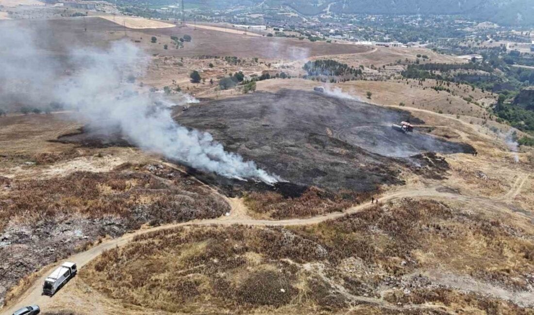 Karabük'ün Safranbolu ilçesinde Cüzzam Deresi mevkiinde çıkış nedeni henüz bilinmeyen