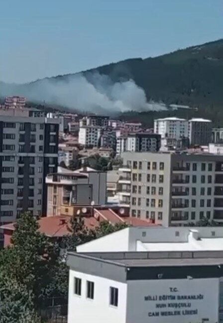 Pendik Aydos Ormanı'nda çıkam yangına, havadan ve karadan yoğun müdahale