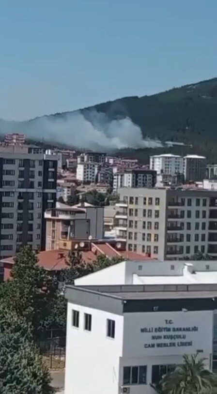 Pendik Aydos Ormanı'nda çıkam yangına, havadan ve karadan yoğun müdahale
