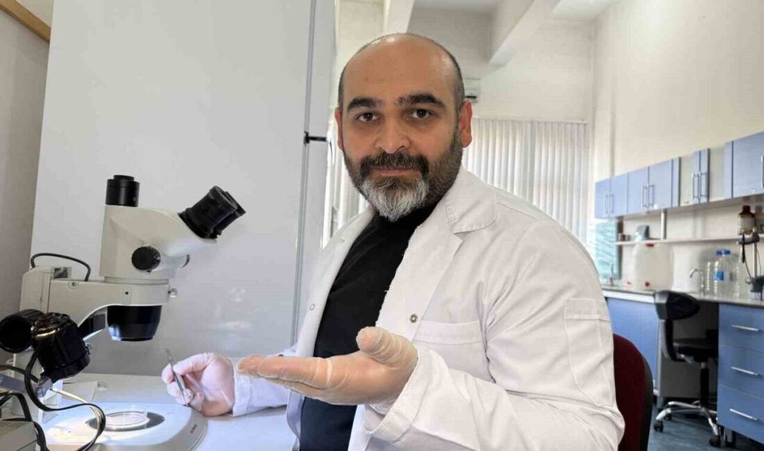 Tokat Gaziosmanpaşa Üniversitesi Biyoloji Bölüm Başkanı Prof. Dr. Adem Keskin,