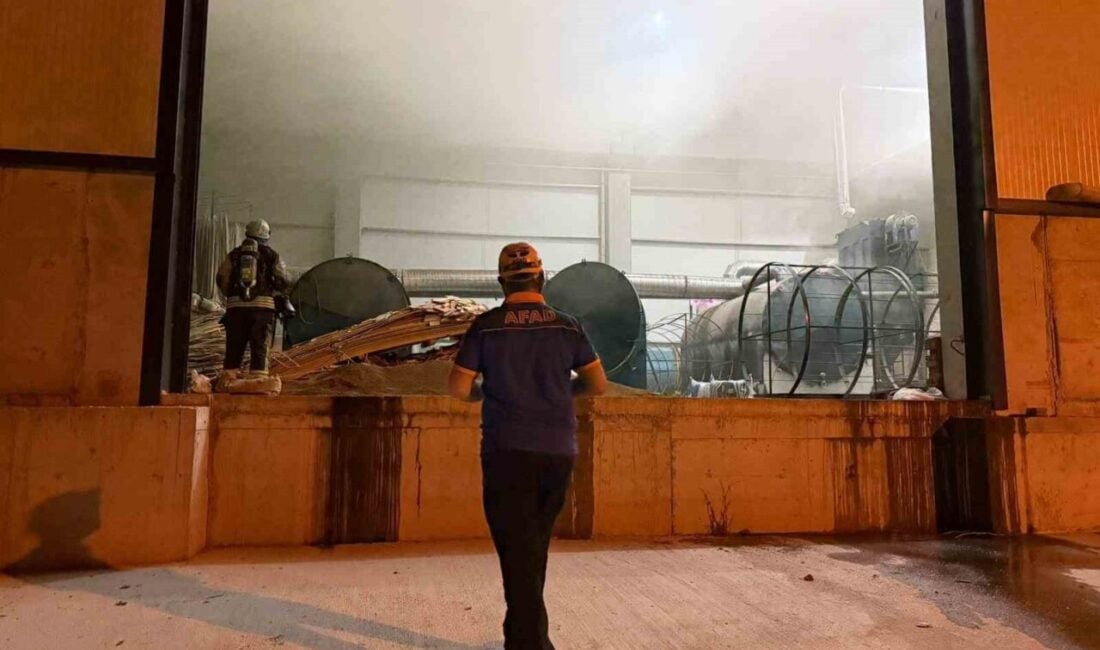Kocaeli'nin Körfez ilçesinde ruhsatsız faaliyet gösteren bir kömür üretim tesisinde