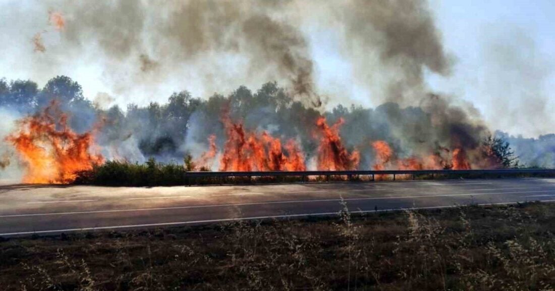 Sakarya'nın Akyazı ilçesinde D-140 kara yolundaki otluk alanda çıkan yangın,