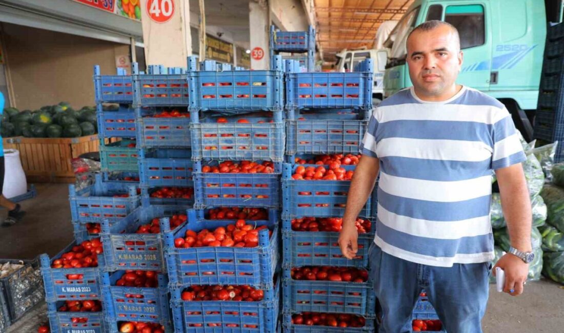 Kahramanmaraş'ta salça sezonu başlamadığı için domates fiyatları 3 TL'ye düştü.