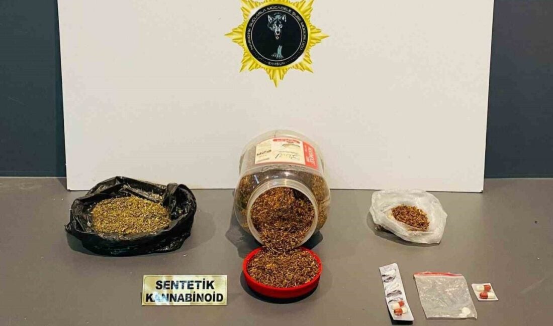 Samsun Emniyet Müdürlüğü Narkotik Suçlarla Mücadele ekipleri, İlkadım ilçesinde F.K.