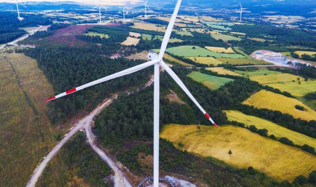 SANKO Dış Ticaret AŞ, Türkiye İhracatçılar Meclisi'nin (TİM) 2024 yılında