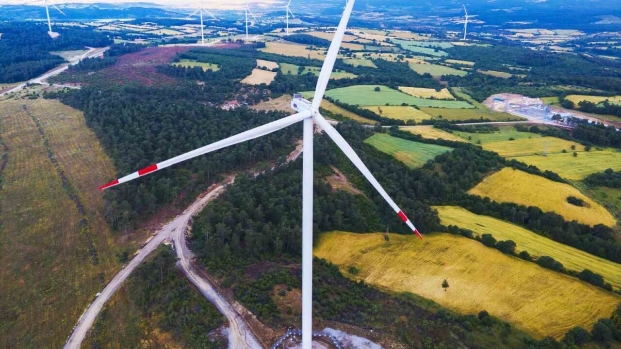 SANKO Dış Ticaret AŞ, Türkiye İhracatçılar Meclisi'nin (TİM) 2024 yılında