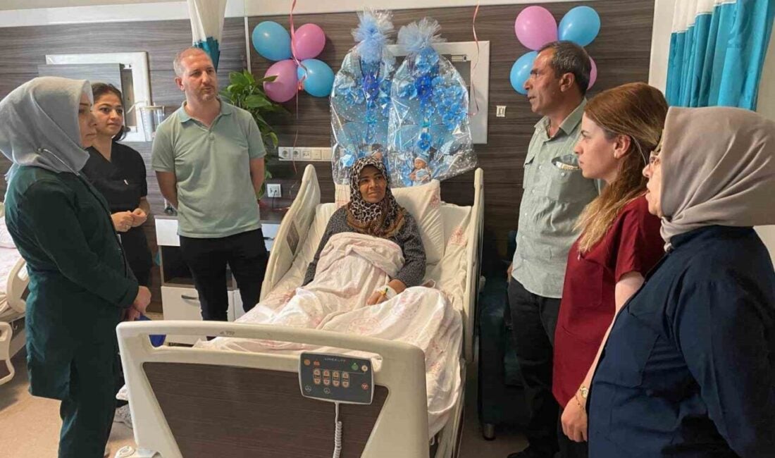 Şanlıurfa'nın Birecik ilçesinde, 53 yaşındaki kadın, IVF ile ikiz bebek