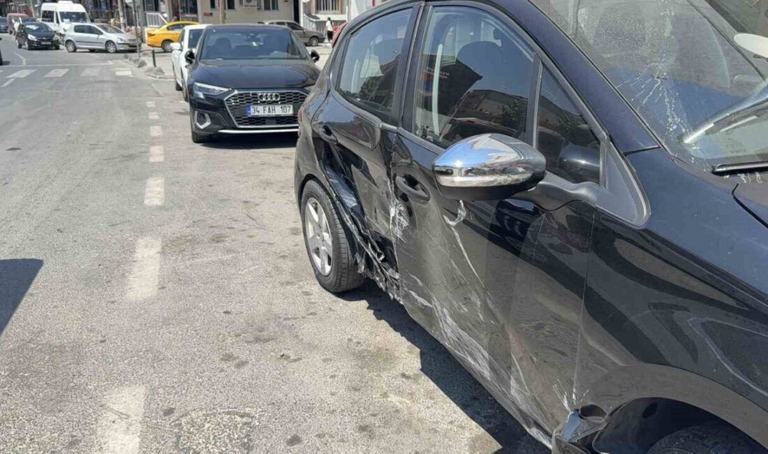 İstanbul Arnavutköy'de bir otomobil sürücüsü, iddiaya göre sara krizi geçirerek
