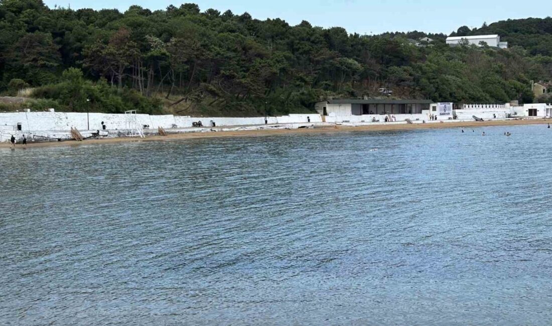 Sarıyer'deki Kısırkaya Plajı'nda dalgalar arasında kaybolan 18 yaşındaki Enes Açıkça'nın