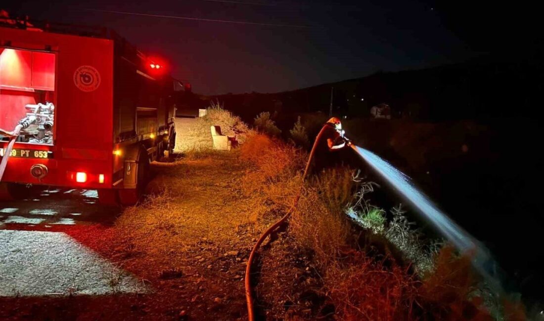 Tekirdağ'ın Şarköy ilçesinde, Gaziköy ve Mürefte'de çıkan yangınlar, itfaiye ekipleri