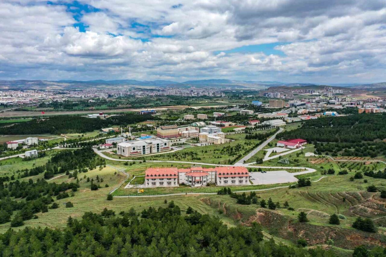 Sivas Cumhuriyet Üniversitesi Mühendislik Fakültesi, 2025-2026 eğitim-öğretim döneminde Jeoloji, Yazılım