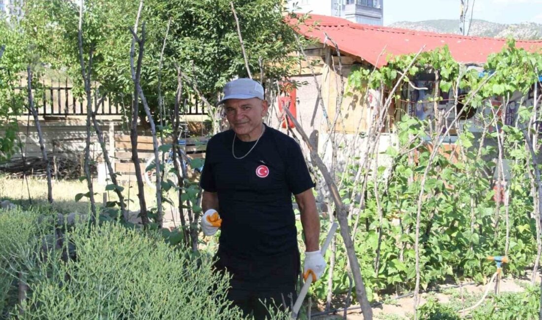 İstanbul'da yaşayan 70 yaşındaki Veysel Elmas, çocukluk hayalini gerçekleştirerek eşiyle