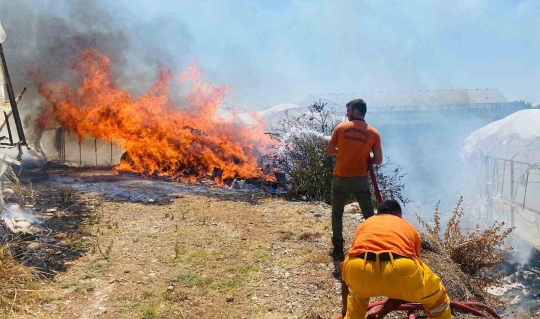 Antalya'nın Serik ilçesinde Aşağıoba Mahallesi'nde çıkan çalılık yangını, rüzgarın etkisiyle