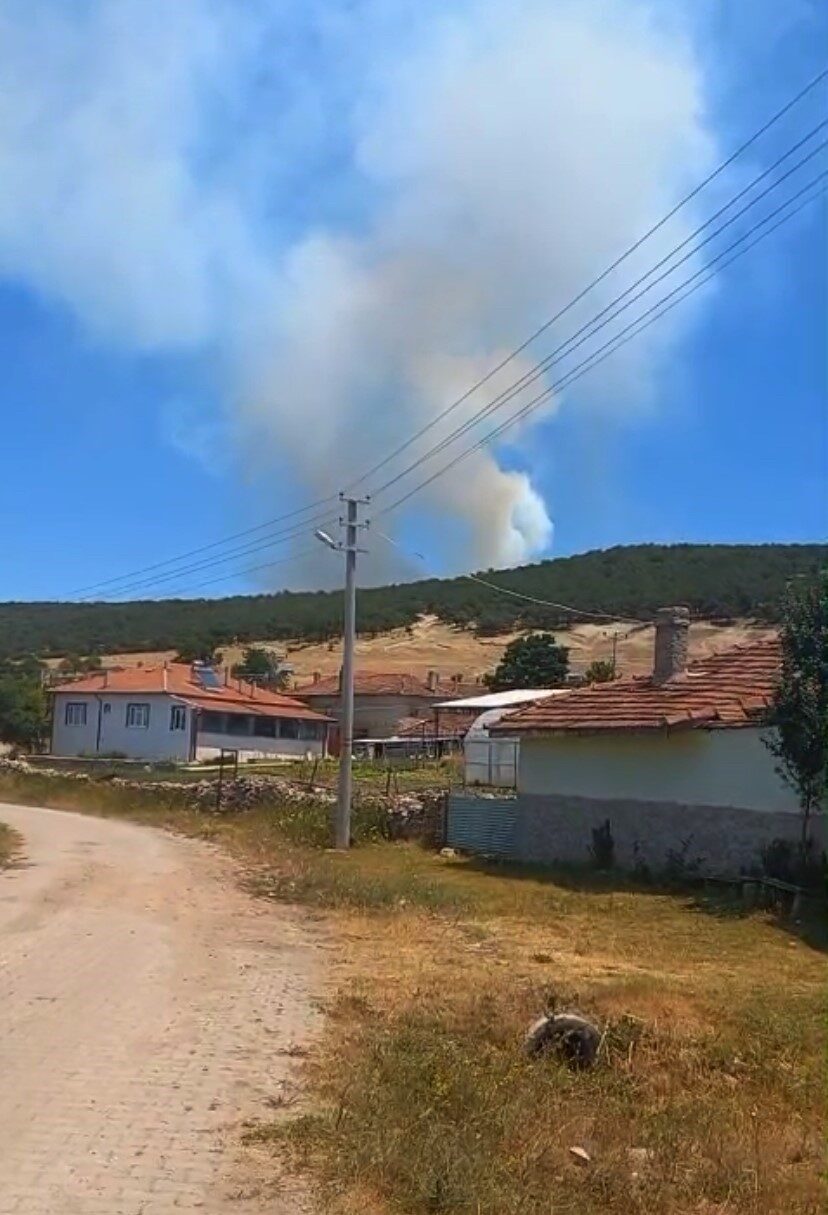 Eskişehir'in Seyitgazi ilçesindeki Bardakçı ve Şükranlı mahalleleri arasında çıkan orman