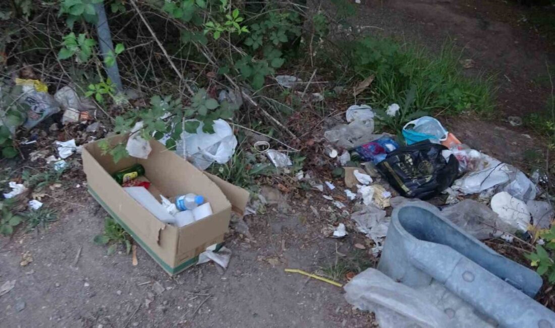 Şile'de orman ve dere kenarlarına poşetlerle atıklar bırakılması çevre kirliliğine