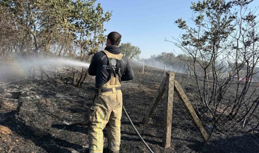 İstanbul Silivri'de bir mangaldan çıkan közlerin neden olduğu yangında bir