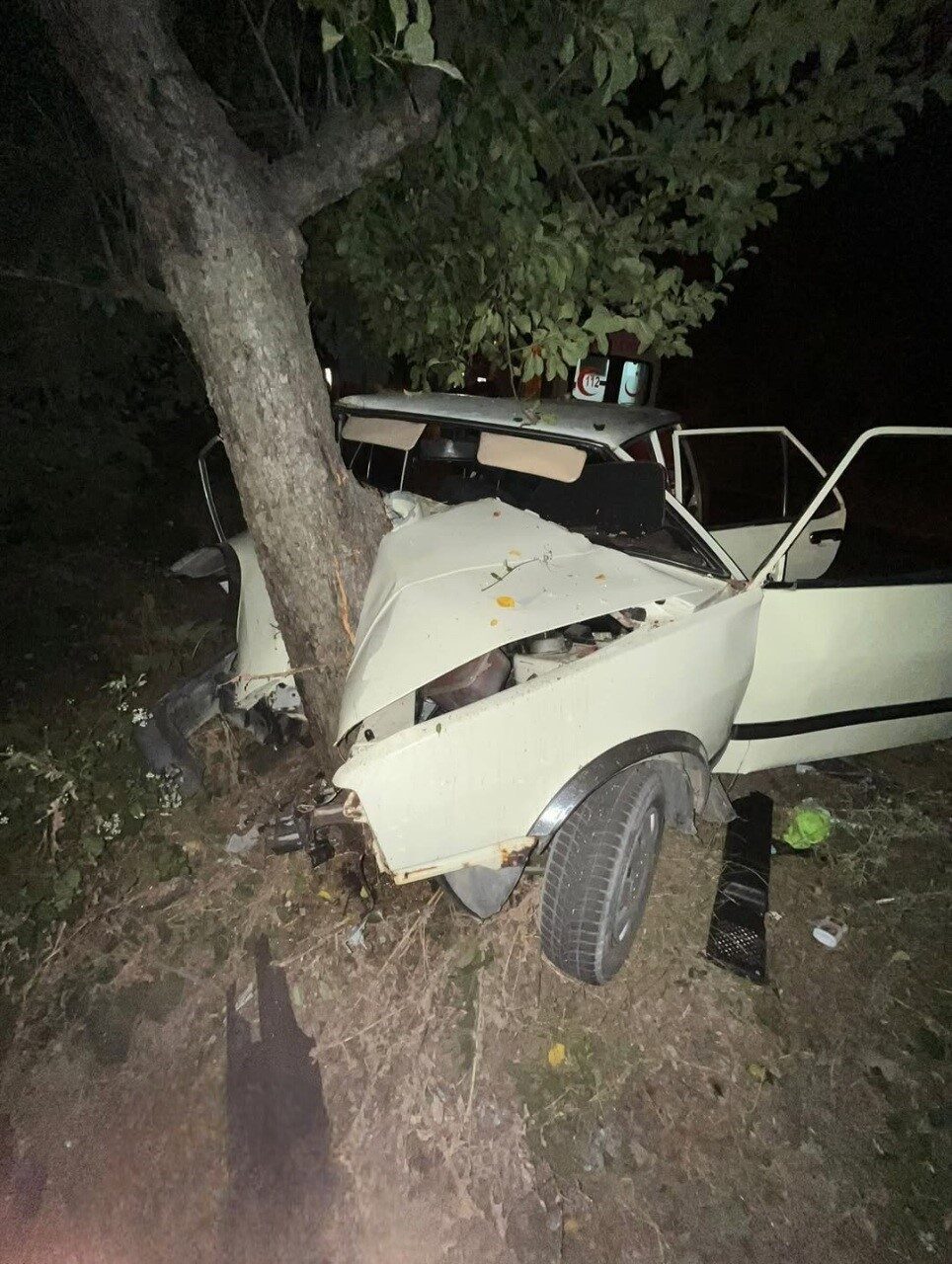 Sinop'un Ayancık ilçesinde, Doğanlı köyü mevkiinde bir aracın sürücüsü direksiyon