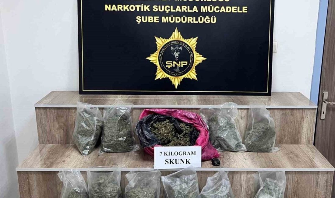 Şanlıurfa'nın Siverek ilçesinde gerçekleştirilen uyuşturucu operasyonunda 7 kilogram skunk ele