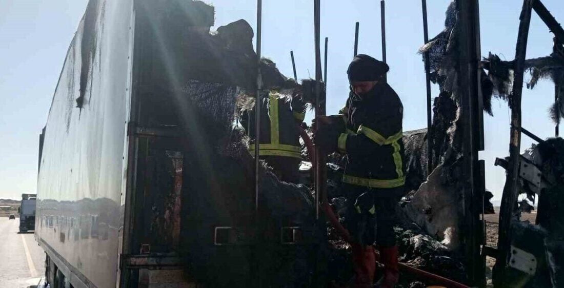 Şanlıurfa'nın Siverek ilçesinde seyir halindeyken yangın çıkan gıda yüklü bir
