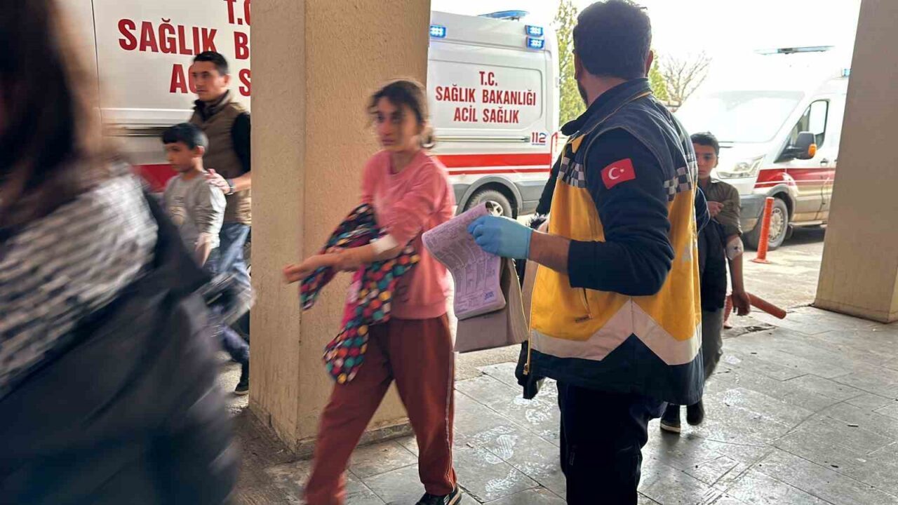 Şanlıurfa'nın Siverek ilçesinde yolun karşısına geçmeye çalışan M.D. (22) ve