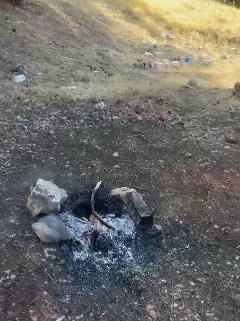 Adıyaman Merkez'de bulunan Ali Dağı Mesire Alanı'nda kimliği belirsiz kişiler