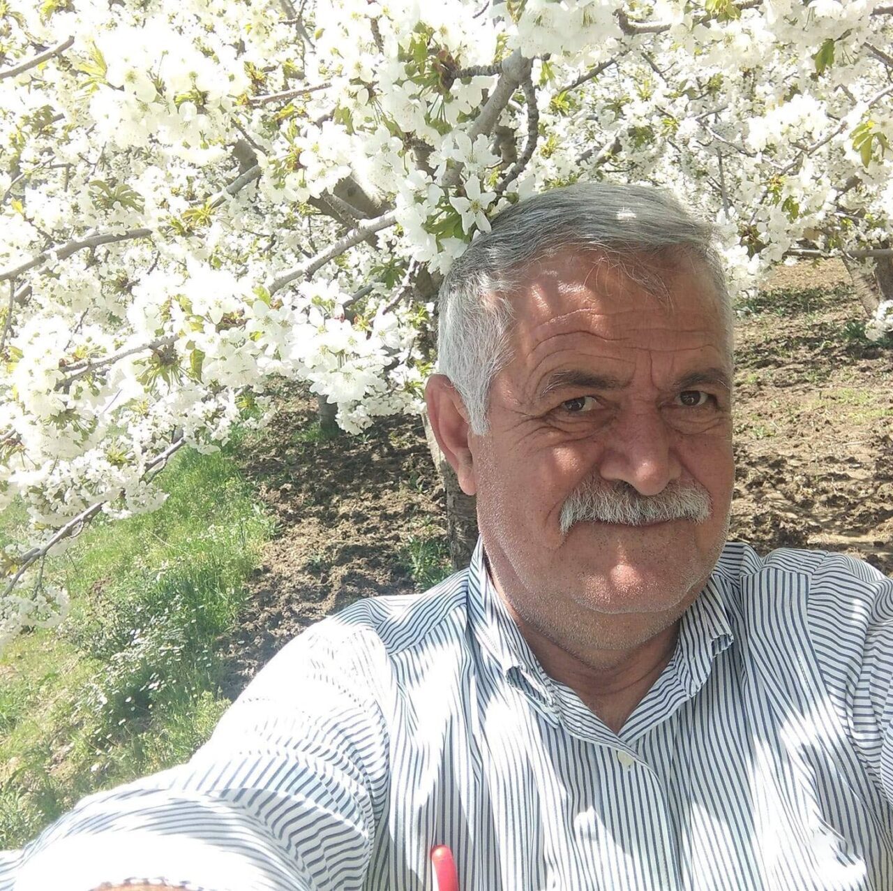 Osmaniye'nin Sumbas ilçesinde bir otomobil sulama kanalına düştü. Olay yerine