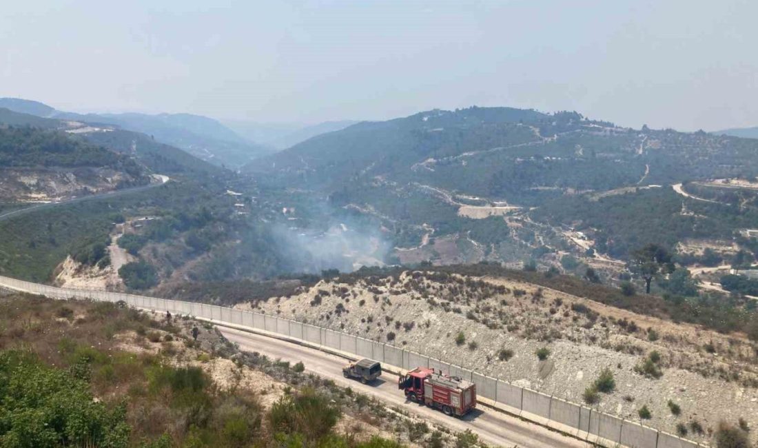 Hatay'ın Yayladağı ilçesinde, Suriye'nin Lazkiye kentinden yayılan orman yangınına karşı