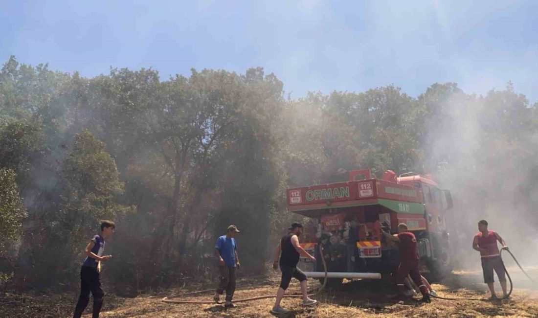 Balıkesir’in Susurluk ilçesindeki Dereköy Mahallesi'nde çıkan yangın, itfaiye ekiplerinin hızlı