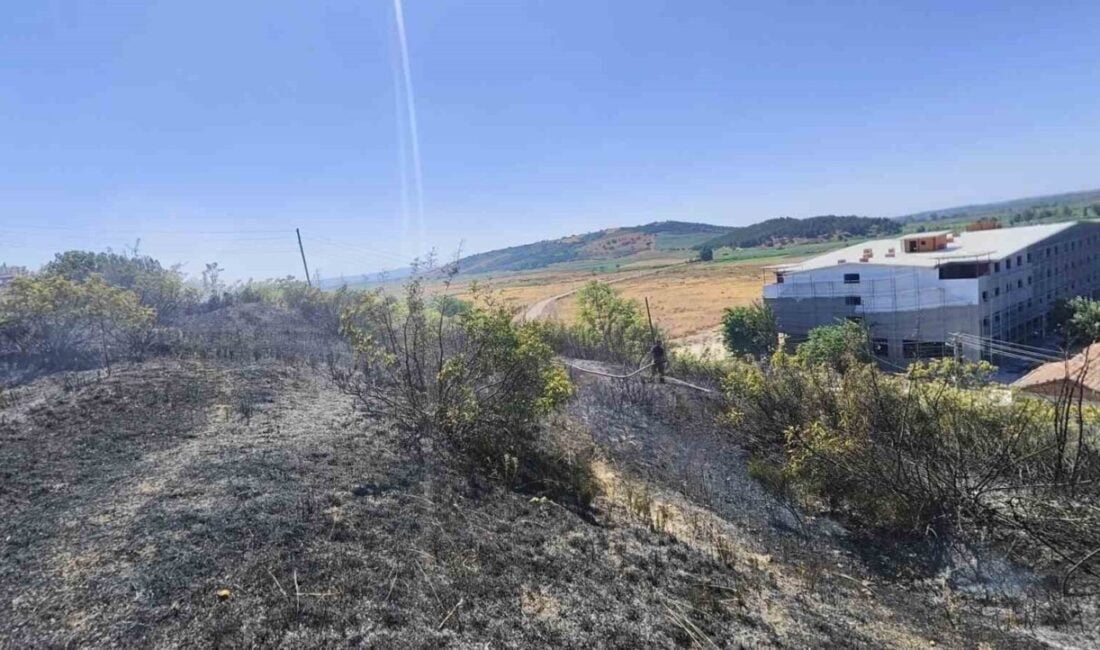 Balıkesir'in Susurluk ilçesinde Ilıcaboğazı Mahallesi'nde çıkan çalılık yangını, itfaiye ekiplerinin