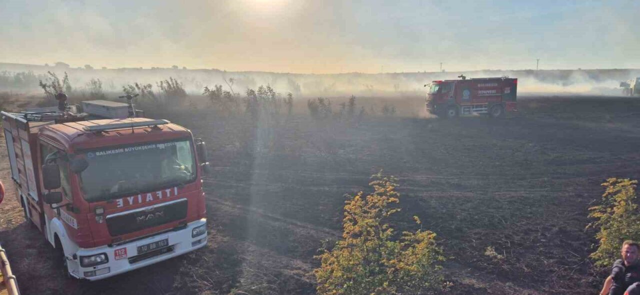 Balıkesir’in Susurluk ilçesinde rüzgarın etkisiyle büyüyen orman yangını, Susurluk, Manyas