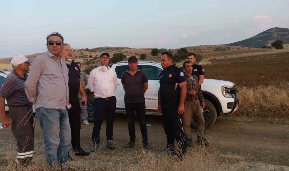 Eskişehir'in Beylikova ilçesinde çıkan yangın, 2 bin dekar tarım arazisi
