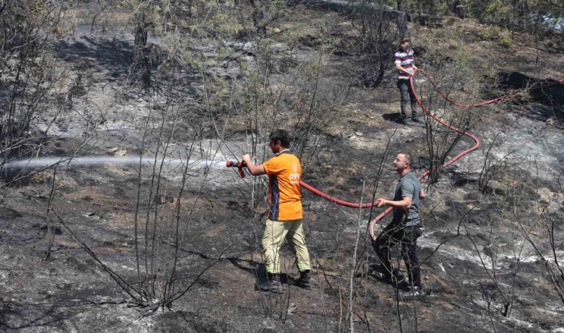 Kastamonu’nun Taşköprü ilçesinde tarım arazisinde çıkan yangın, balya makinesinden kaynaklandı.