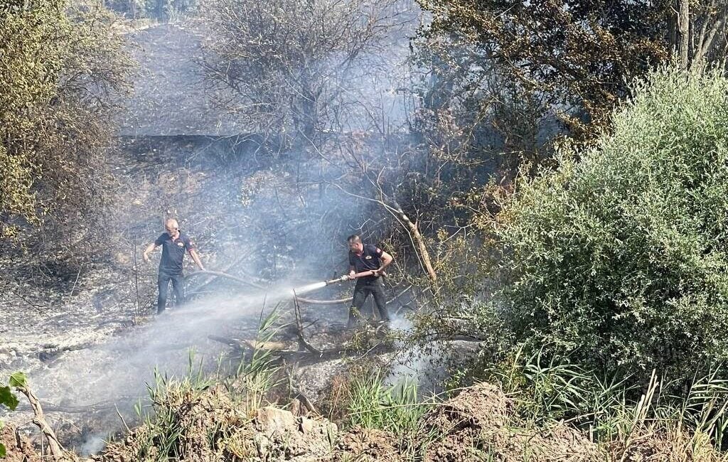 Gölpazarı-Yenipazar karayolu üzerindeki Taşınburnu mevkiinde çıkan orman yangını kontrol altına