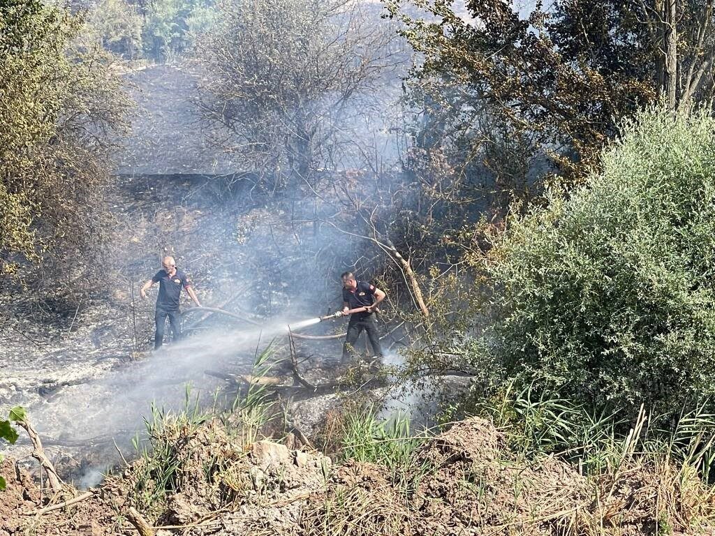 Gölpazarı-Yenipazar karayolu üzerindeki Taşınburnu mevkiinde çıkan orman yangını kontrol altına