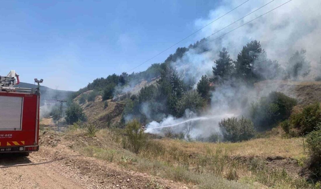 Kütahya'nın Tavşanlı ilçesi Tunçbilek beldesinde çıkan orman yangını, vatandaşların ihbarı