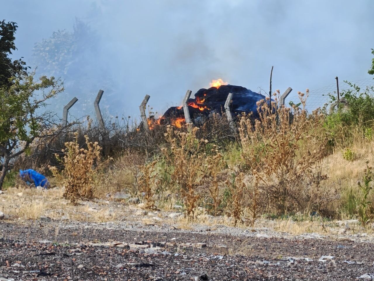 Tekirdağ'ın Malkara ilçesinde çıkan anız yangını, rüzgarın etkisiyle ormanlık alana